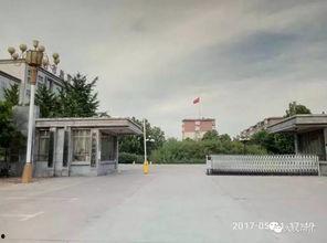 邢台一中爆料事件视频曝光,真相揭开,引发社会关注