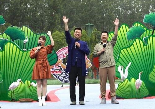 小力最新爆料新闻视频,最新爆料新闻视频深度解析